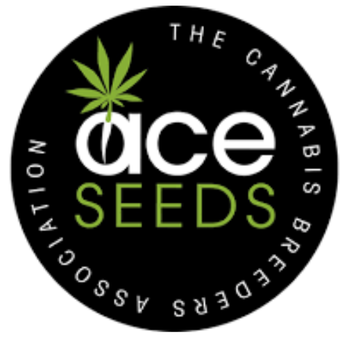 Ace Seeds Cannabissamen kaufen Logo