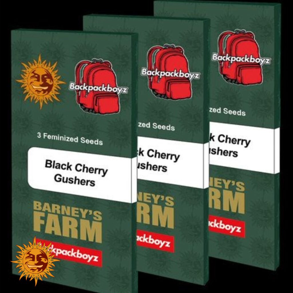 Black Cherry Gushers - Barneys Farm Cannabissamen kaufen