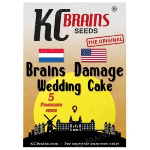 Brains Damage Wedding Cake - KC Brains Cannabissamen kaufen