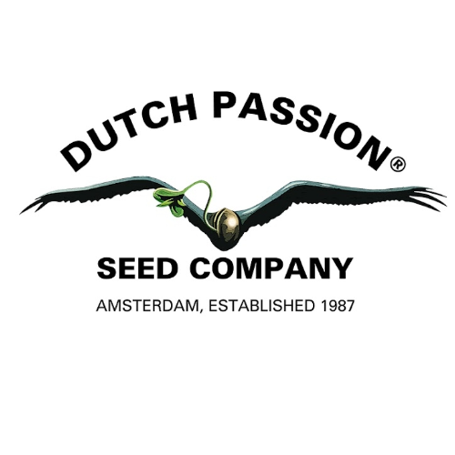 Dutch Passion Cannabissamen kaufen Logo