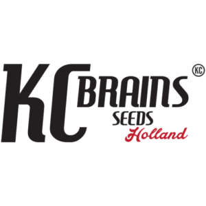 KC Brains Cannabissamen kaufen Logo