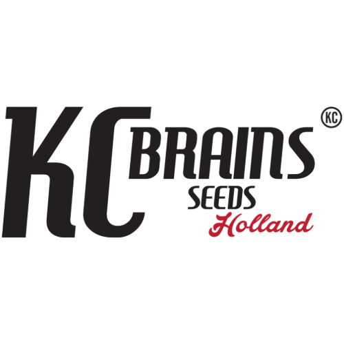 KC Brains Cannabissamen kaufen Logo