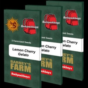 Lemon Cherry Gelato - Barneys Farm Cannabissamen kaufen