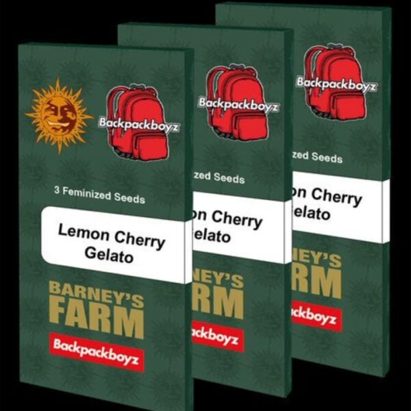 Lemon Cherry Gelato - Barneys Farm Cannabissamen kaufen