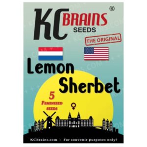 Lemon Sherbet - KC Brains Cannabissamen kaufen