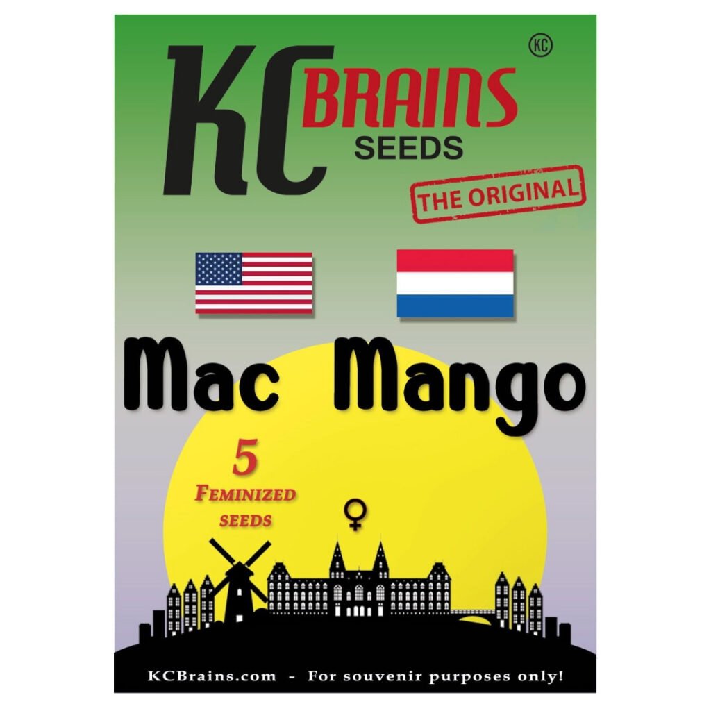 MAC Mango - KC Brains Cannabissamen kaufen