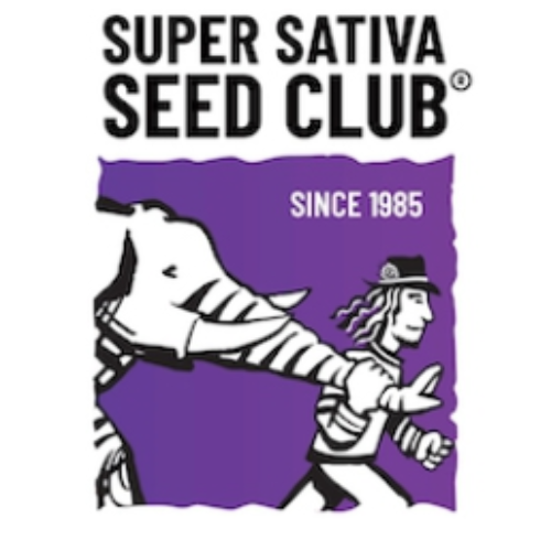 Super Sativa Seed Club Cannabissamen kaufen Logo