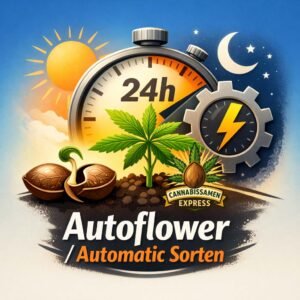 Autoflower / Automatic