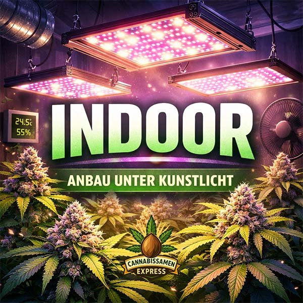 Indoor Sorten - Cannabissamen kaufen im Online Shop