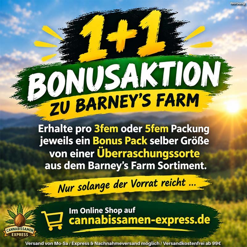 Barneys Farm 1+1 Bonusaktion im Cannabissamen Onlineshop auf cannabissamen-express.de