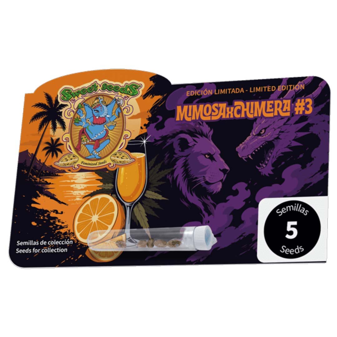 Mimosa x Chimera #3 - Sweet Seeds Limited Edition Cannabissamen kaufen im Online Shop